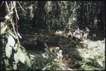 Men making petroglyph carvings