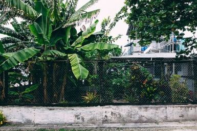 Fenced garden, Fakaofo, Tokelau