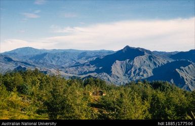 Lufa - adjoining 113