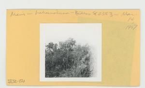 [Bidens in Hawaii, envelope IE32-156]