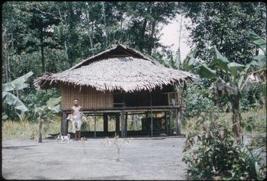 Mosquito traps on houses (2) : Bwalalea village, D'Entrecasteaux Islands, Papua New Guinea, 1956-1958 / Terence and Margaret Spencer
