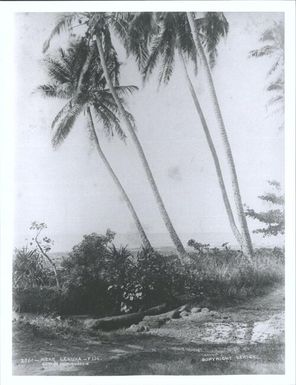 Near Levuka, Fiji