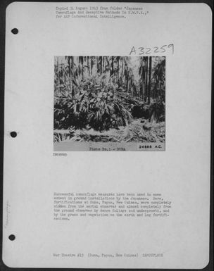 Successful camouflage measures have been used to some extent in ground installations by the Japanese. Here, fortifications at Buna, Papua, New Guinea, were completely hidden from the aerial observer and almost completely from the ground observer by (U.S. Air Force Number 24868AC)