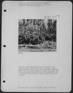 Successful camouflage measures have been used to some extent in ground installations by the Japanese. Here, fortifications at Buna, Papua, New Guinea, were completely hidden from the aerial observer and almost completely from the ground observer by (U.S. Air Force Number 24868AC)