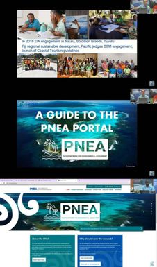 PNEA Webinar Training: How to get the most out of the PNEA Portal