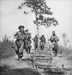 PAPU, NEW GUINEA. 1942-10. MEMBERS OF THE 2/1ST, 2/2ND AND 2/3RD AUSTRALIAN INFANTRY BATTALIONS COMPRISING THE 16TH AUSTRALIAN INFANTRY BRIGADE MOVING UP ALONG THE TRACK ACROSS THE OWEN STANLEY ..