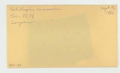 [Heliotropium curassavicum in Hawaii, envelope IE30-133]