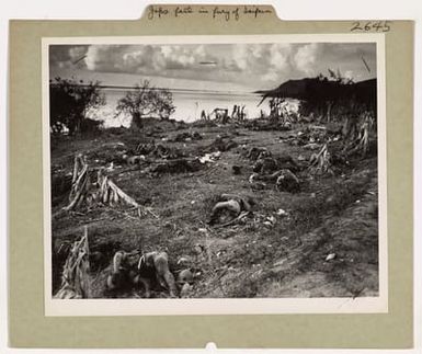 Photograph of Dead Japanese Fighters on Saipan