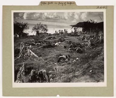 Photograph of Dead Japanese Fighters on Saipan