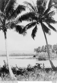 MILNE BAY, NEW GUINEA, 1943-09. TYPICAL COASTLINE OF THE AREA, NEAR THE LADAVA MISSION