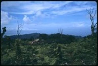 Landscape scenery and small building