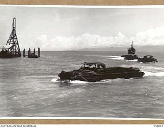 LAE, NEW GUINEA. 1943-10-12. A STRING OF AMPHIBIOUS TRUCKS (DUKWS) COMING IN TO LAND AT THE DOCKS