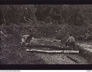 BULLDOG-WAU ROAD, NEW GUINEA, 1943-07-20. CORDUROY ROAD THROUGH MOSSY FOREST AT JOHNSON'S GAP, BEING LAID BY NATIVES, WHO ARE SUPERVISED BY THE TROOPS OF HEADQUARTERS, ROYAL AUSTRALIAN ENGINEERS, ..