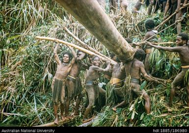 Men building with plant material