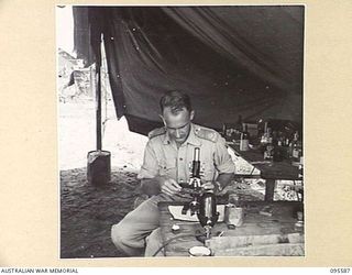 CAPE WOM, WEWAK AREA, NEW GUINEA. 1945-08-28. MAJOR W.J.H. ALEXANDER, WORKING IN THE RESEARCH DEPARTMENT, 104 CASUALTY CLEARING STATION