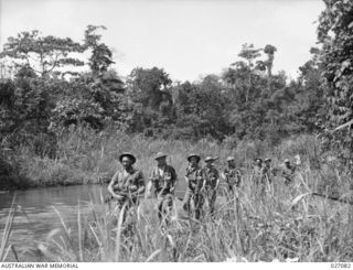 PAPUA, NEW GUINEA. 1942-10. A PATROL OF THE 2/31ST AUSTRALIAN INFANTRY BATTALION GOING ALONG THE BANKS OF THE BROWN RIVER AND MAKING THEIR WAY THROUGH THE TALL NATIVE CANE THAT GROWS IN THE SWAMPY ..