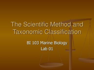 The scientific method and taxonomic classification - Marine biology