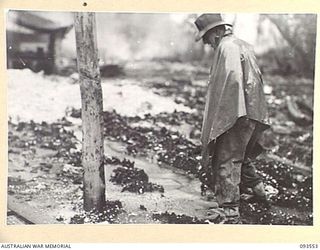 MALMAL VILLAGE, JACQUINOT BAY, NEW BRITAIN. 1945-06-29. A SOLDIER EXPERIENCES THE DIFFICULTIES OF MUD AROUND THE CAMP AT HEADQUARTERS 5 DIVISION, DURING THE MONSOONAL RAIN SEASON