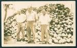 Geohegan[?] and two Chinese[?] men standing in front of a pile of coconut, [New Ireland, c1930?]