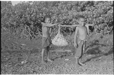 Fieldwork in Fiji