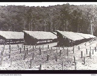 AIYURA, NEW GUINEA, 1946-01-09. NURSERY BEDS IN COURSE OF PREPARATION FOR QUININE PLANTS AT THE KUMINERKERA BLOCK, AUSTRALIAN NEW GUINEA ADMINISTRATIVE UNIT EXPERIMENTAL STATION