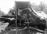 Two soldiers in lean-to shelter, Guadalcanal, 1940s