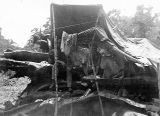 Two soldiers in lean-to shelter, Guadalcanal, 1940s