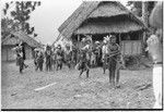 Pig festival, uprooting cordyline ritual, Tsembaga: decorated men and boys carry drums and weapons, near government rest house