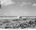 Coral beach on south end of Enyu Island, 1947