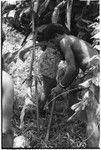 Ibaa, son of Larikeni, with stakes to ritually husk coconut