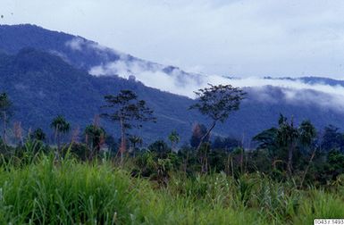 ["fotografi, photograph"]