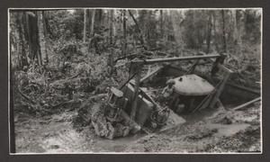 [New Guinea Mud]