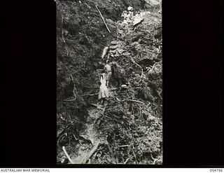 Bulldog-Wau Road, New Guinea. 1943-07-19. Native bearers supporting Australian troops carrying compressor parts down a slippery ravine at Ecclestone Saddle