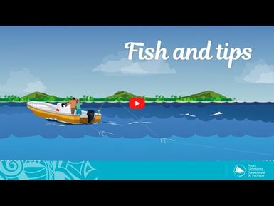 Fish and tips S1 Ep1 (English) - Fishing: know the basics