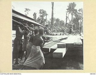 BUSU FOREST, LAE AREA, NEW GUINEA. 1944-07-26. NATIVE LABOUR SUPPLIED BY THE AUSTRALIAN NEW GUINEA ADMINISTRATIVE UNIT STACKING HEAVY WHARF CONSTRUCTION TIMBER ON TO A STACK AT THE 2/3RD FORESTRY ..