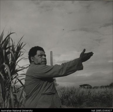 Fijian Farmer