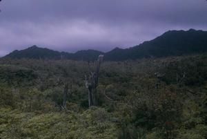 [Landscape view of mountains in Hawaii, United States]