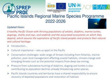 Pacific Islands Regional Marine species programme 2022-2026 - Marine turtle action plan outline