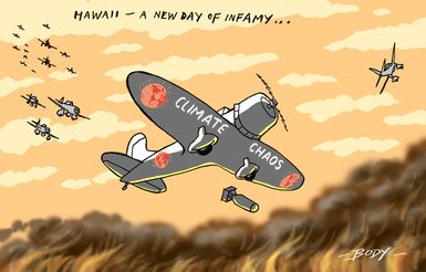 Wildfires in Hawaii