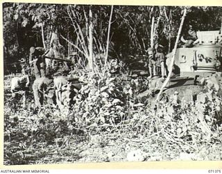 KILIGIA, NEW GUINEA. 1944-03-16. TANK CREWS OF A SQUADRON, 1ST TANK BATTALION, 5TH DIVISION, WORKING ON MATILDA TANKS ASP, ALF, AND ACE