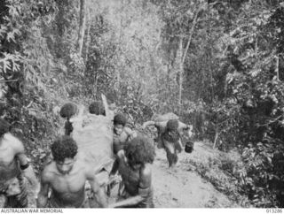 NATIVE BEARERS (POPULARLY KNOWN AS FUZZY WUZZY ANGELS) CARRY A WOUNDED AUSTRALIAN SOLDIER ON A STRETCHER. THEY ARE MOVING UP A STEEP HILL TRACK THROUGH THICK TROPICAL JUNGLE