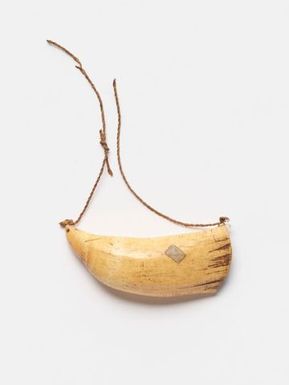 Tabua (Ceremonial whale tooth)