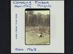 Clearing timber country, [Arthur R Wardrop standing in foreground], Poligolo, [Papua New Guinea], Dec 1963