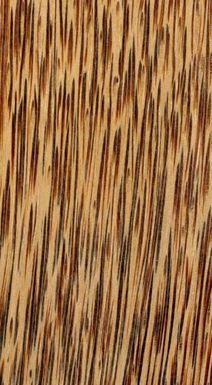 Collection of wood from the Cirad language library. Wood of Polynesia. Cocos nucifera (Syn. Diplothemium henryanum) - coconut tree - Family of the Arecaceae or Palmiers (Monocotyledons) (French Polynesia)