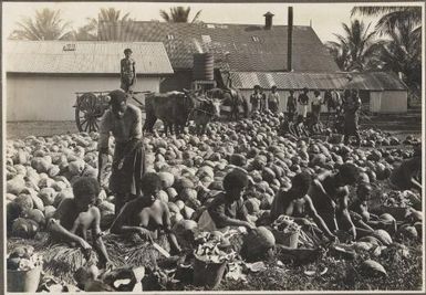 [Coconut factory, outdoor scene of women seated opening coconuts] Frank Hurley