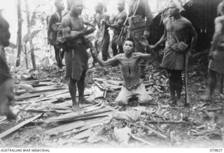 BOUGAINVILLE AREA, SOLOMON ISLANDS. 1945-03-23. MEMBERS OF NO.5 PLATOON, A COMPANY, 1ST NEW GUINEA INFANTRY BATTALION, ATTACHED 7TH INFANTRY BRIGADE ESCORT A JAPANESE PRISONER SEIZED AT A HUT NEAR ..