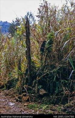 Nondugl - Kupap magic against evil spirits on both sides of way