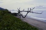 East coast of Bougainville, 1964