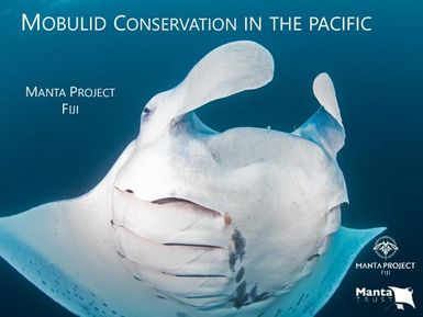 Mobuild conservation in the Pacific - Manta