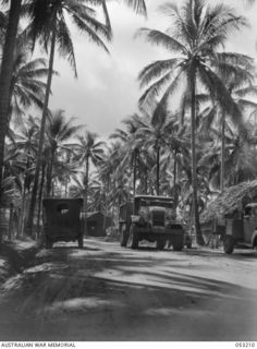 MILNE BAY, NEW GUINEA. 1943-06-26. LOOKING NORTH ALONG ROUTE 4, PAST HEADQUARTERS, 5TH AUSTRALIAN DIVISION AREA
